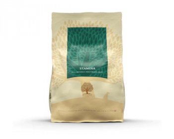 Essential Stamina 2,5 kg